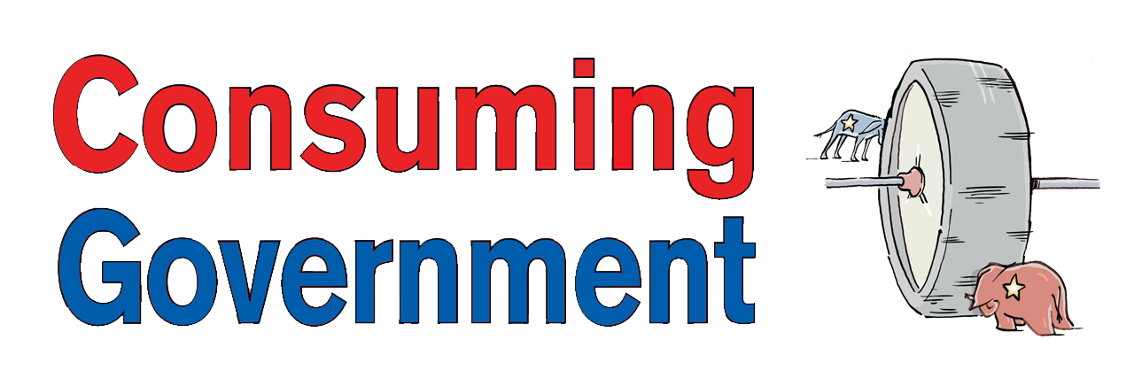 Consuming Government